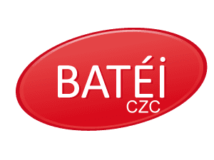 Pacservices93 Client BATEI